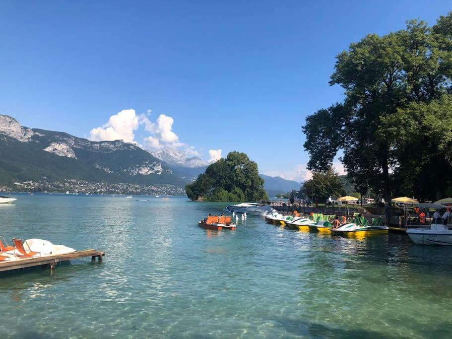 Appartement Proche Centre Ville Avec Parking Gratuit Annecy Exterior foto